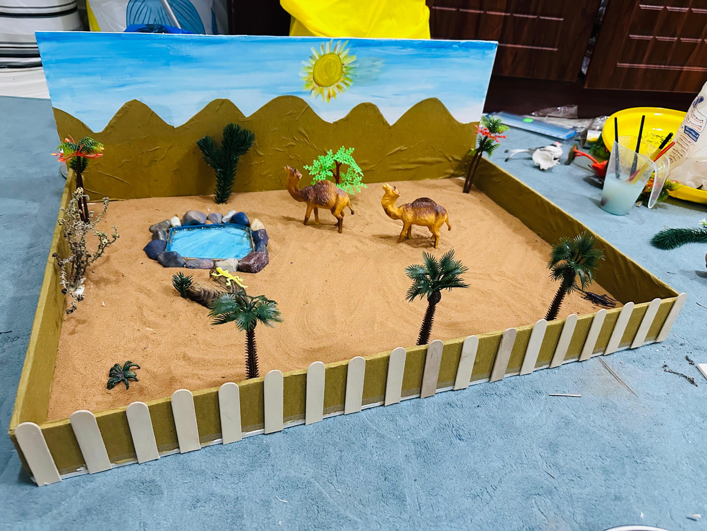 School Projects – Desert